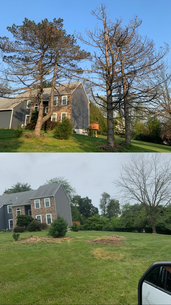 FARHAT PROPERTY MAINTENANCE Drexel Hill, Pennsylvania Landscaping