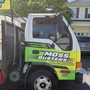 The Moss Busters