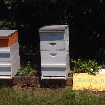 Fair Game Beverage Company - Some bees (this may be part of the Biofuel farms...) - Beer, Wine & Spirits Near Me - Pittsboro, North Carolina Fair Game Beverage Company - Some bees (this may be part of the Biofuel farms...) - Beer, Wine & Spirits Near Me - Pittsboro, North Carolina