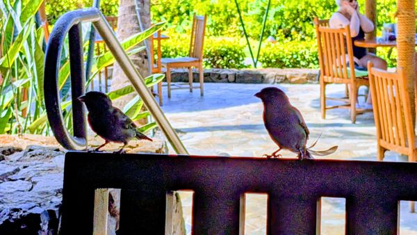 Duke's Beach House Maui by null