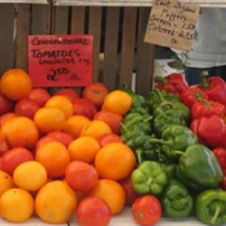 Winter Harvest Philadelphia