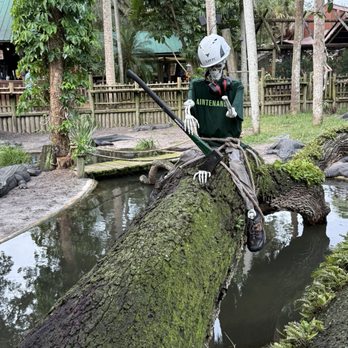 St. Augustine Alligator Farm Zoological Park - Pretty sure Lefty is a righty! - Zoos Near Me - Saint Augustine, Florida St. Augustine Alligator Farm Zoological Park - Pretty sure Lefty is a righty! - Zoos Near Me - Saint Augustine, Florida