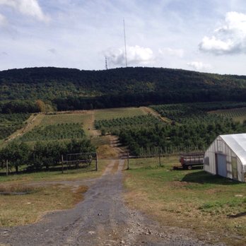 Wilklow Orchards - Fruits & Veggies Near Me - Highland, New York