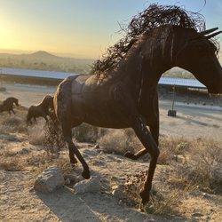 Pumpkin Rock Trail - Metal horses