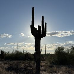 Pima Dynamite Trailhead