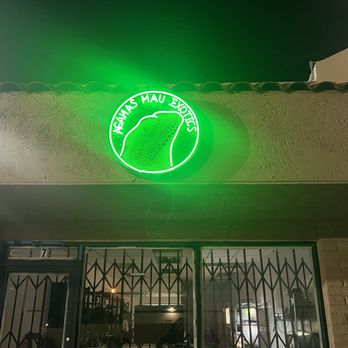Agamas Mau Exotics - Outside of the store ! - Local Fish Stores Near Me - Sylmar, California