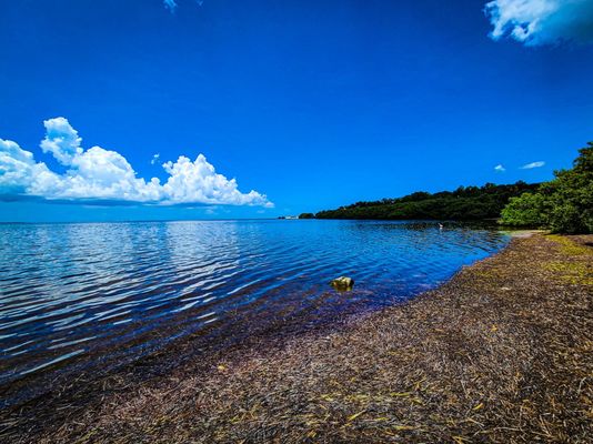 Fred Howard Park by null