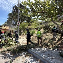 Angel's Gardening & Tree Services - Our crew