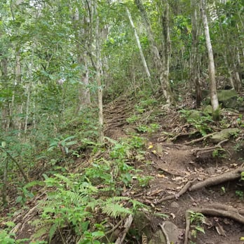 Wailua Falls - Nice and easy steps - Parks Near Me - Lihue, Hawaii Wailua Falls - Nice and easy steps - Parks Near Me - Lihue, Hawaii