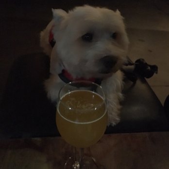 Prizefighter - He's enjoying himself - Bars Near Me - Emeryville, California Prizefighter - He's enjoying himself - Bars Near Me - Emeryville, California