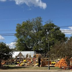 Ayers Farm Farmers Market - Outside Ayers Farmers Market. So cute for Fall