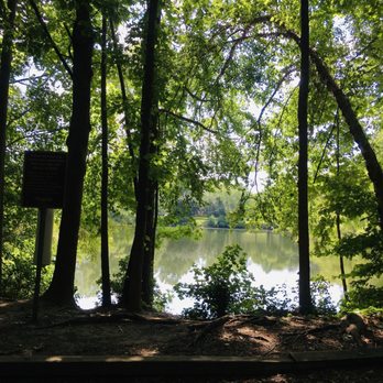 Chesapeake Arboretum - Tree by the lake - Parks Near Me - Chesapeake, Virginia