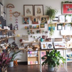 Blind Insect Gallery
