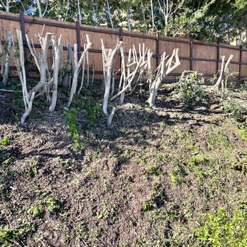 Silverio Landscaping Services - Landscaping Near Me