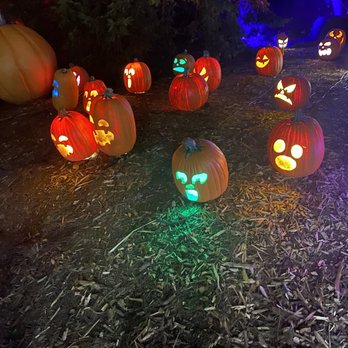 Harvest Nights at Newfields - Festivals Near Me - Indianapolis, Indiana
