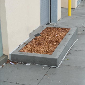 CVS Pharmacy - The trip hazard curb has been removed and replaced with a trip hazard flower bed. Now when you fall you'll land in wood chips. - Drugstores Near Me - SAN FRANCISCO, California CVS Pharmacy - The trip hazard curb has been removed and replaced with a trip hazard flower bed. Now when you fall you'll land in wood chips. - Drugstores Near Me - SAN FRANCISCO, California