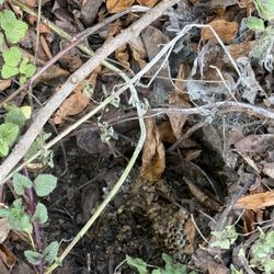 A-Tech Pest Solutions, Inc - After the treatment