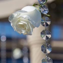 Island Petals - Detail of the crystals and roses!