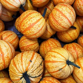 Butterfields Farm Market - a pile of pumpkins - Fruits & Veggies Near Me - Oxford, Ohio Butterfields Farm Market - a pile of pumpkins - Fruits & Veggies Near Me - Oxford, Ohio