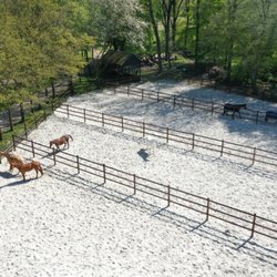 Polo Club Düsseldorf - Paddocks