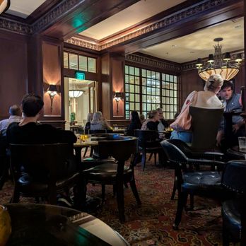 Warwick Melrose - Dallas - The library bar - Hotels Near Me - Dallas, Texas Warwick Melrose - Dallas - The library bar - Hotels Near Me - Dallas, Texas