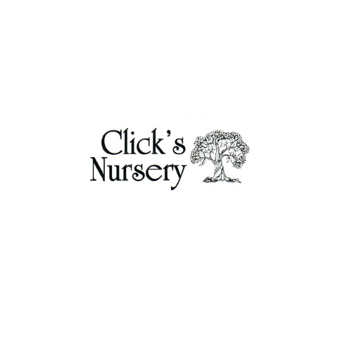 CLICK’S NURSERY & GREENHOUSE Updated October 2024 4181 Barefoot Rd