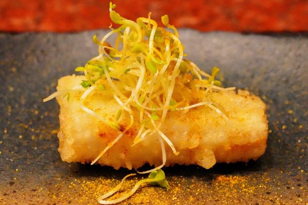 Tempura Endo by null