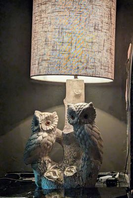 The Owl by null
