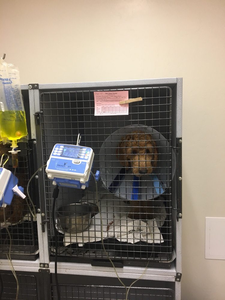 PARK ANIMAL HOSPITAL Updated October 2024 35 Reviews 1615 S State