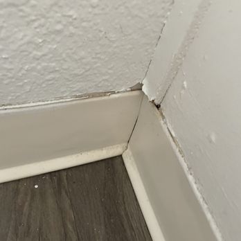 The Charleston - Paint was peeling and wet upon arrival, due to a non working, moldy fan the paint got worse on its own - Apartments Near Me - Sacramento, California The Charleston - Paint was peeling and wet upon arrival, due to a non working, moldy fan the paint got worse on its own - Apartments Near Me - Sacramento, California