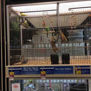 PetSmart Dog Training - Birds - Pet Training Near Me - Newport News, Virginia