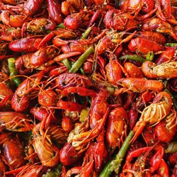 Cajun On The Geaux - Crawfish