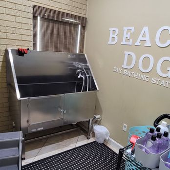 Beach Dog - Bathing statin - Pet Training Near Me - Gulf Shores, Alabama Beach Dog - Bathing statin - Pet Training Near Me - Gulf Shores, Alabama