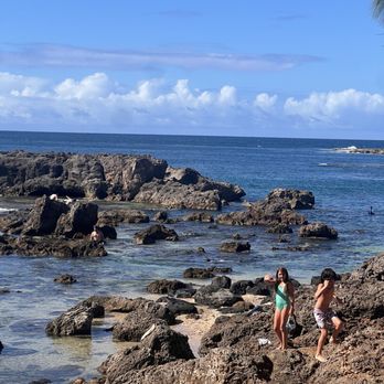 Shark's Cove - Sharks cove - Beaches Near Me - Haleiwa, Hawaii Shark's Cove - Sharks cove - Beaches Near Me - Haleiwa, Hawaii