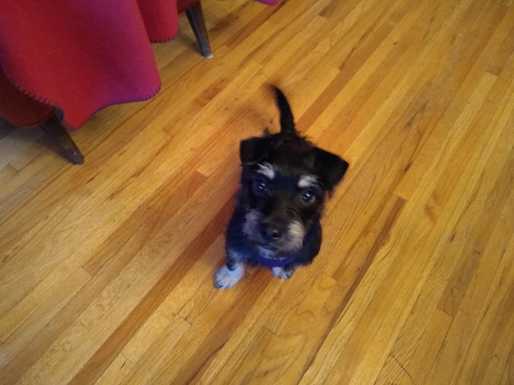 o Jupiter Florida Real Estate For Sale