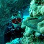 Photo of Ka'anapali Scuba