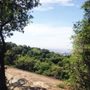 Photo of Parque da Cantareira - Núcleo da Pedra Grande