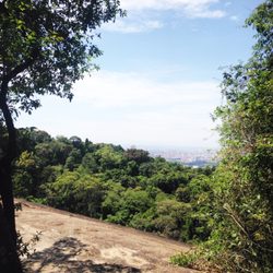 Parque da Cantareira - Núcleo da Pedra Grande - Um pouco de verde em SP