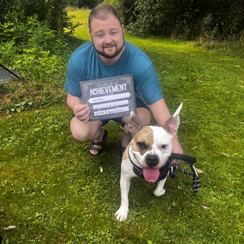 Katie evans dog Trainer - Pet Training Near Me