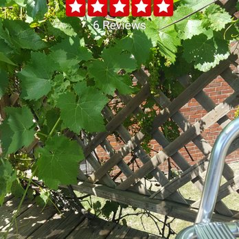 Tidewater Winery - a bench and vine - Venues & Event Spaces Near Me - Drumright, Oklahoma