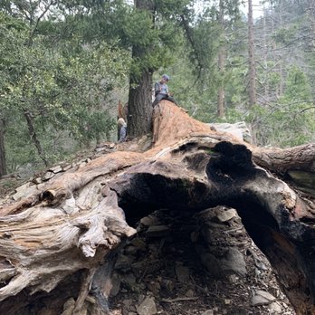 Heart Rock - Hiking Near Me - Crestline, California