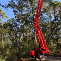 A Cut Above Tree Experts