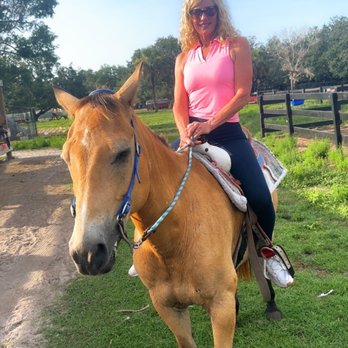 Sun City Stables - Horseback Riding Near Me - Sun City, Florida