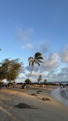 Poipu Beach Park by null