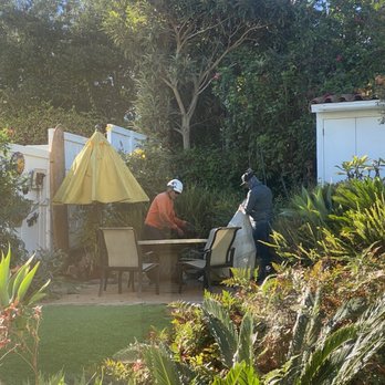 Joel's Tree Service - Tree Services Near Me