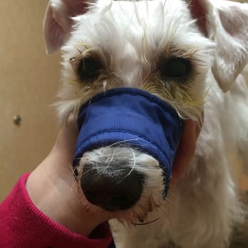 Barks N Bubbles Grooming - Pet Groomers Near Me - El Paso, Texas