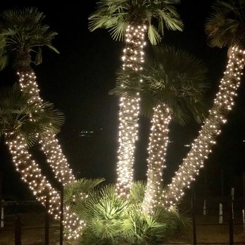 Christmas Light Medics - Lighting Fixtures & Equipment Near Me