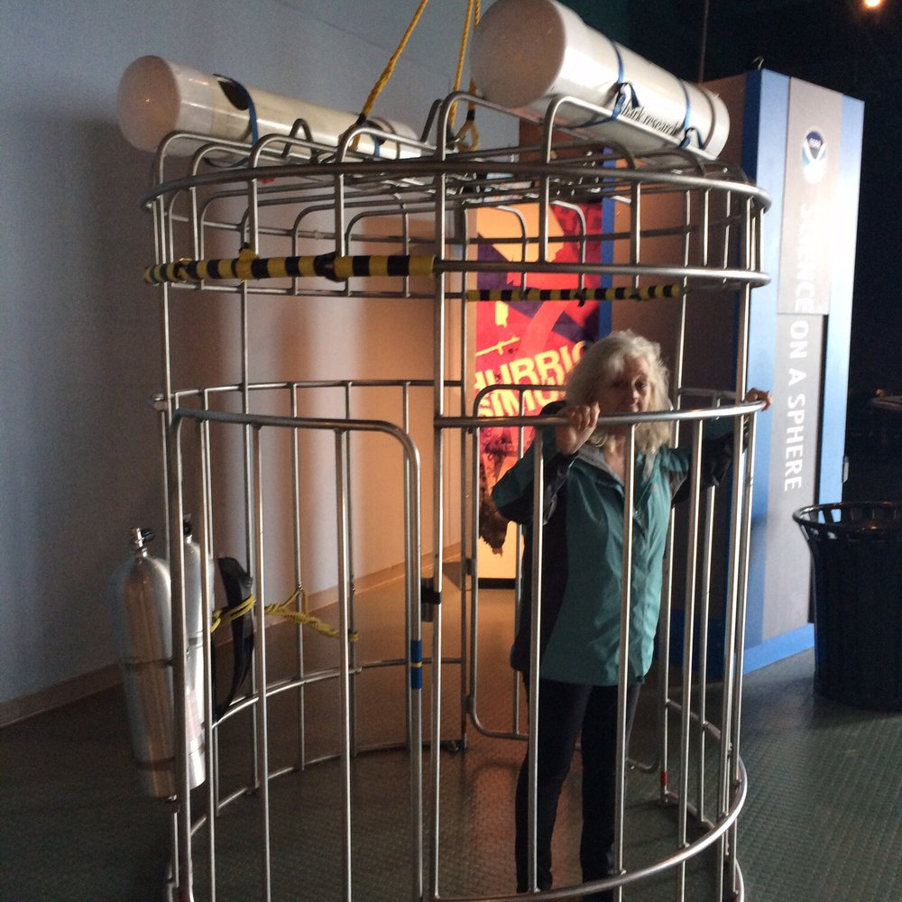 Nauticus - Museums Near Me - Norfolk, Virginia Nauticus - Museums Near Me - Norfolk, Virginia
