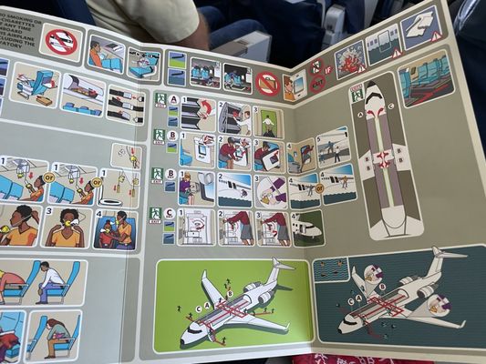 Delta Air Lines by null