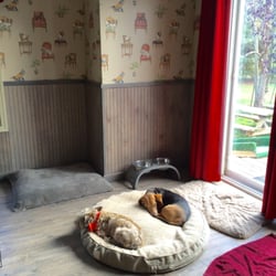Gina's K-9 Bed & Breakfast - Naptime